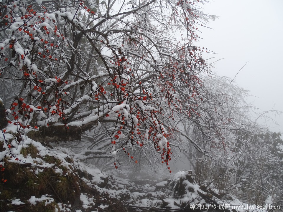 SJgCwDGxqFfmL1LOkcQFKEYzexixxArSmFwiwadrLcwruomUJufPoMoSWJKnRKqa