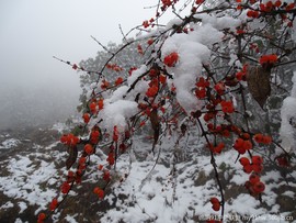 qAKqS4MfXWrlWT9Wjkd7SuoIFZIKd-zU5I_DOOBTNULYkPIC-r9pnEq3BdH5a1mF