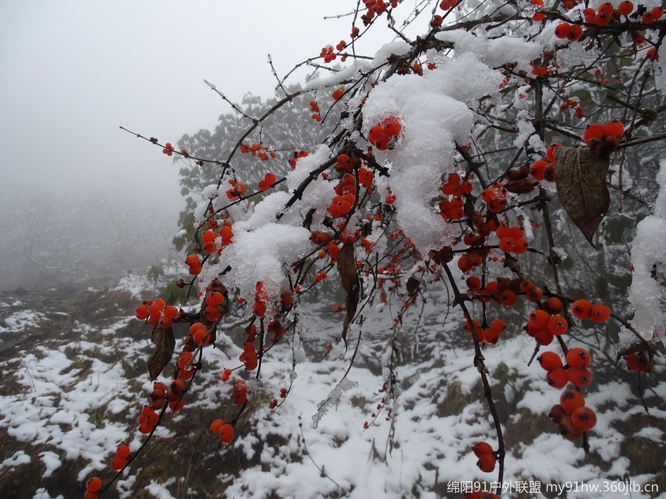 qAKqS4MfXWrlWT9Wjkd7SuoIFZIKd-zU5I_DOOBTNULYkPIC-r9pnEq3BdH5a1mF