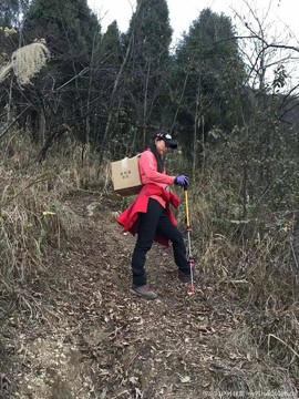 zam-c_v26ewpur0wmVzVMvfnzls5m7DXjWcqob9IQ9tSKS_WRmGBLYq4yxlqRVSK