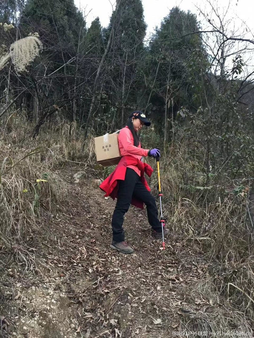 zam-c_v26ewpur0wmVzVMvfnzls5m7DXjWcqob9IQ9tSKS_WRmGBLYq4yxlqRVSK