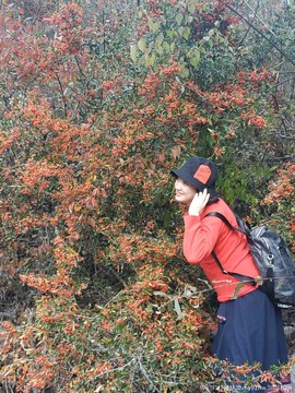 vLRvlpBfnull3Xu6dbwghSynKrSyn5zLR6JwR8GSN2_6ellYCJRNGbHoo-4H8VAD