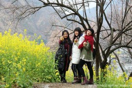 3ds9A54tIAucRrJYZsEVLS1JtPg5J2x8v0XHy6U0OYvo9nPee_zYzxBvecXNEXu3