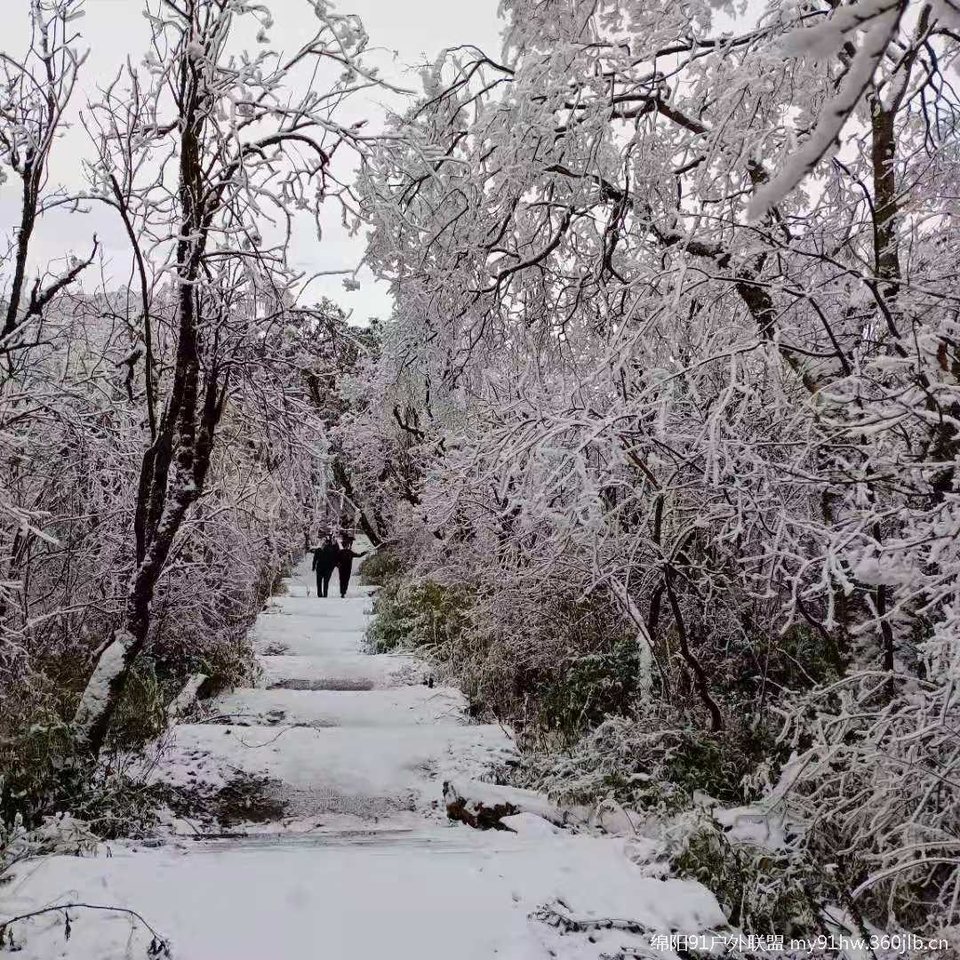 g_Eezzsqye6ARgDGImaziYJd9uwtEinR_o_pcc80EduWo4dOyonp9GEKKaFcSLe4