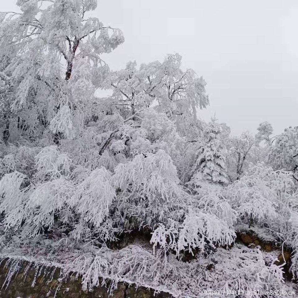 RmLJ0_3pvSBbaNXclzDTsIGI1PwGI7mCFz0f995xyhyVZWwDJGeR8eMaZZ9TSoqU