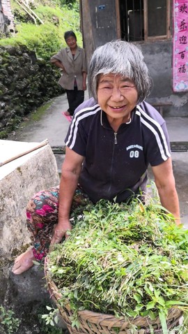 JSW-8Pjw8BLcaM_8PKbTKD1MAozWzpC1G4z5HNGCNaiajbRJZrojhiDb4MdDTdpV