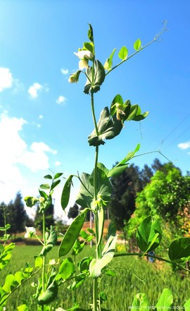 gjtvyzd-fN7pYcTTliRwtzV7o1ue17YoSCDKoGKE1ZxdrzusL34Ncg1mGwcjWe_m