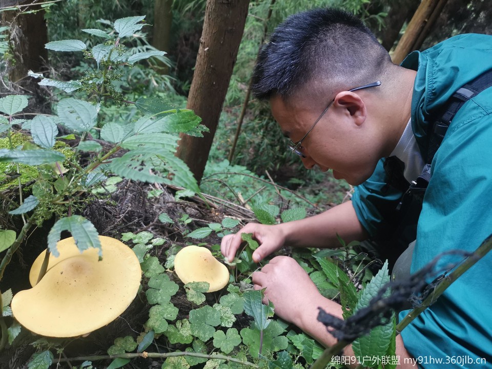 eBHsso-tPONbr4d3CX6N6X4hrYH8E65VFH8y6xjiv0G-_OYsrHgmUE4Upecy-tvF