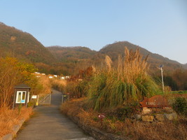 12月20日（周六）安驿箱几穿牛头山游天鹅湖