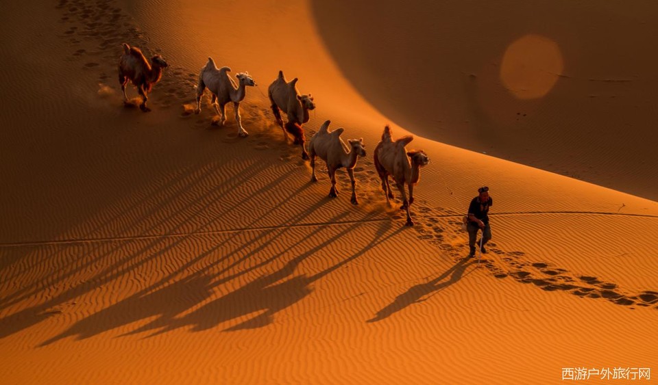 5PRLG2[]%DXK4{GG%NVXLPT