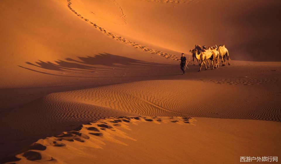 6(KWZ)3VD8Y0X}5FI0XZQTX