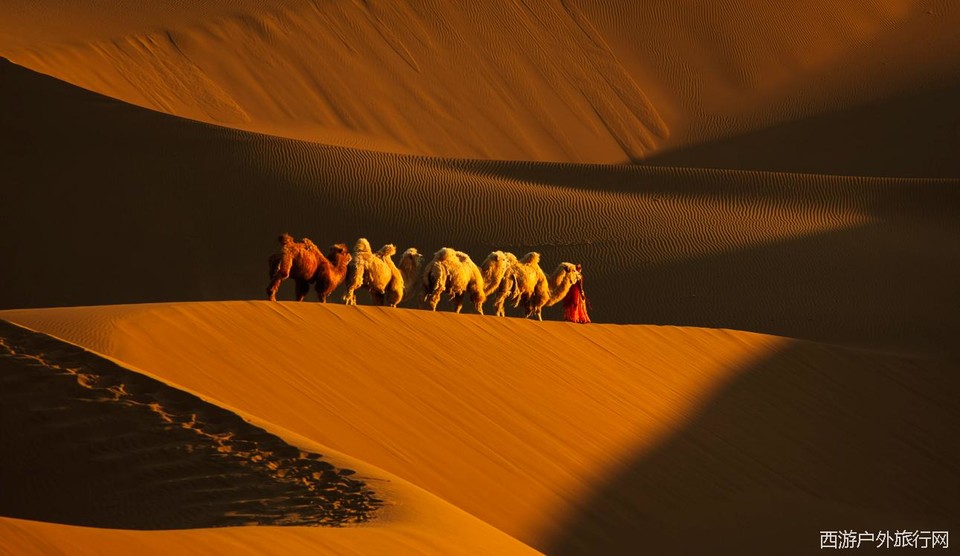 EX80P)5H2_Y)D4Q~$)[8(TE