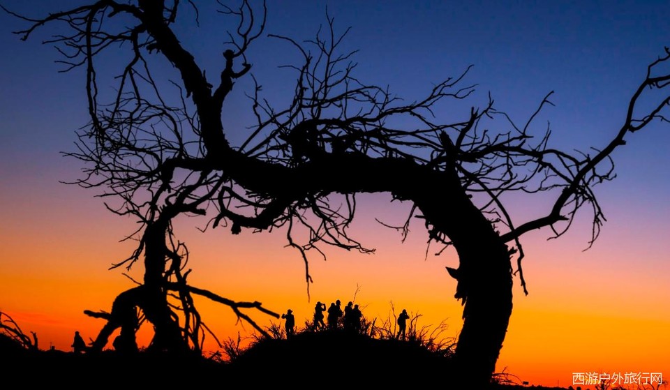 HC[G4R(WV8@LQRWVEG[W3NM