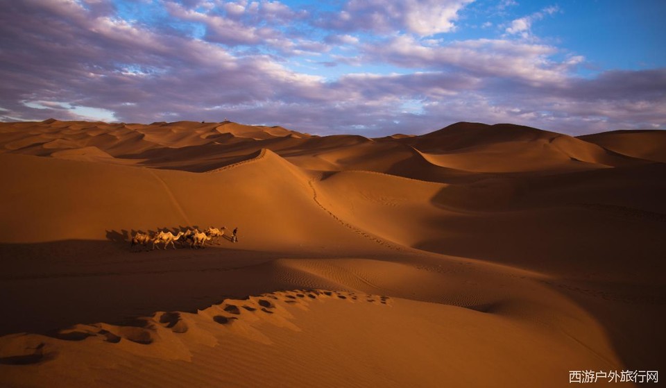 T6S@EK}%BU781D{D9U9N6`W