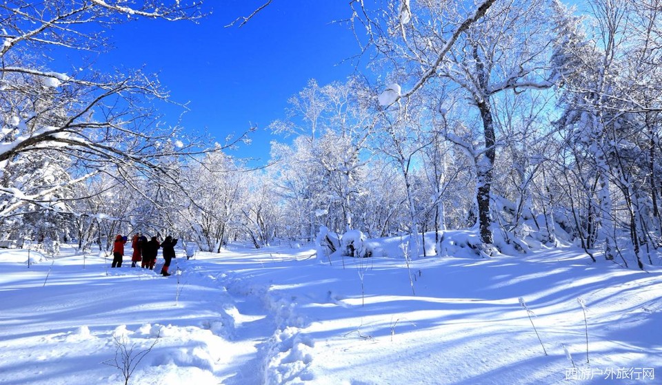 YEIY}VFHR4NG1_KB`ZL[GV1