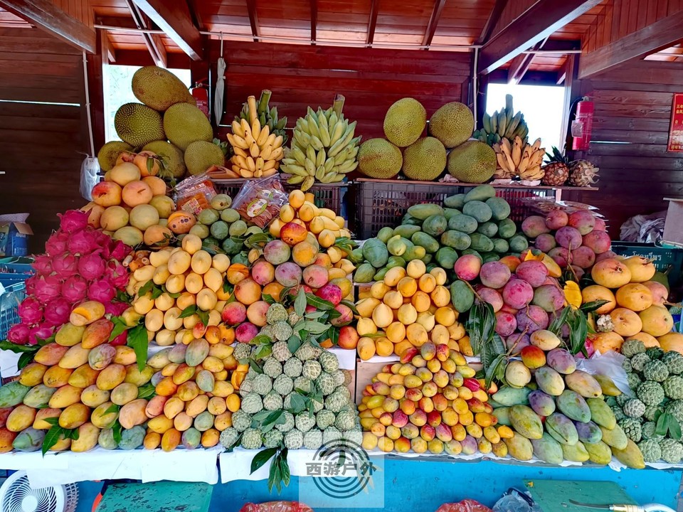 IMG_20220806_160847_edit_725074814985140