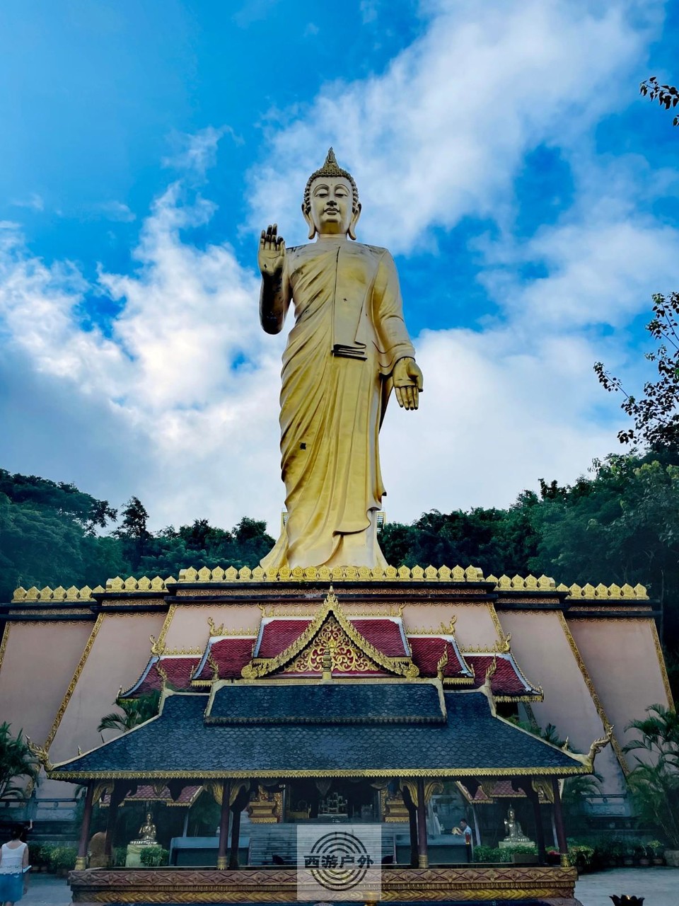 mmexport1659798692315_edit_725046383893446