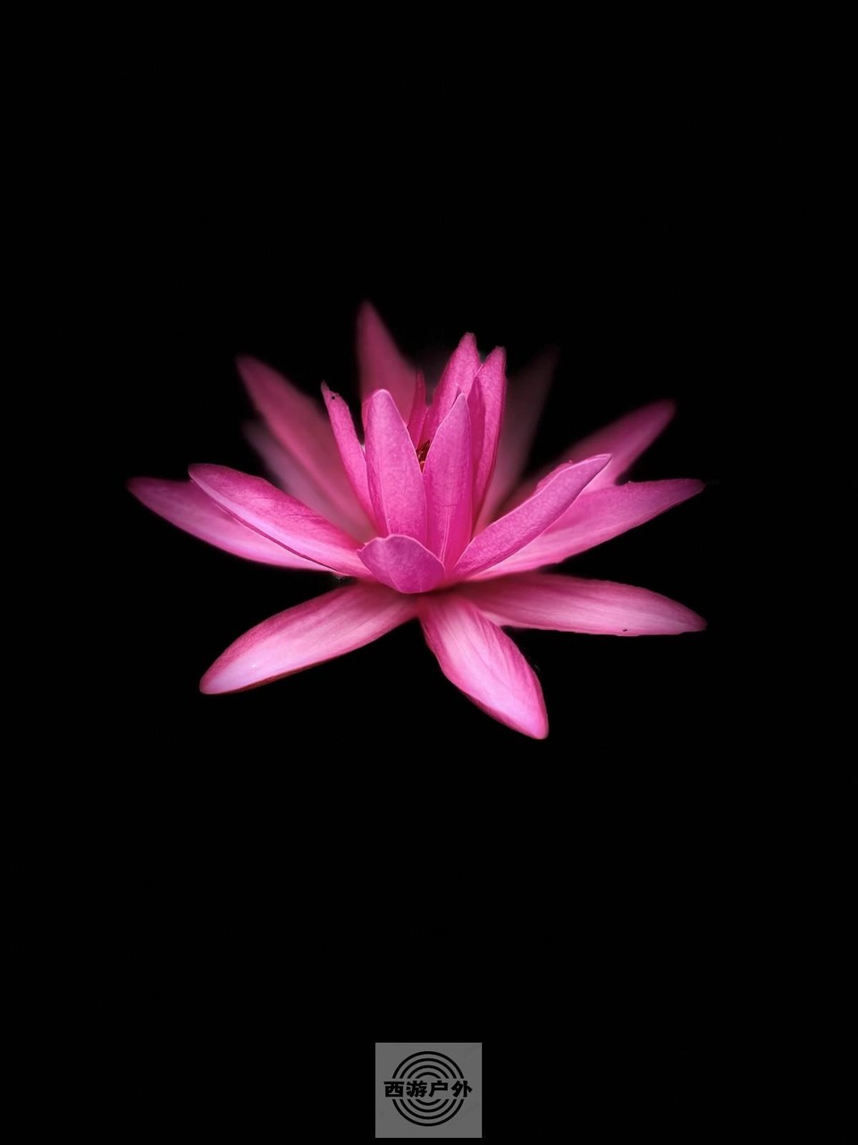 mmexport1659596783780