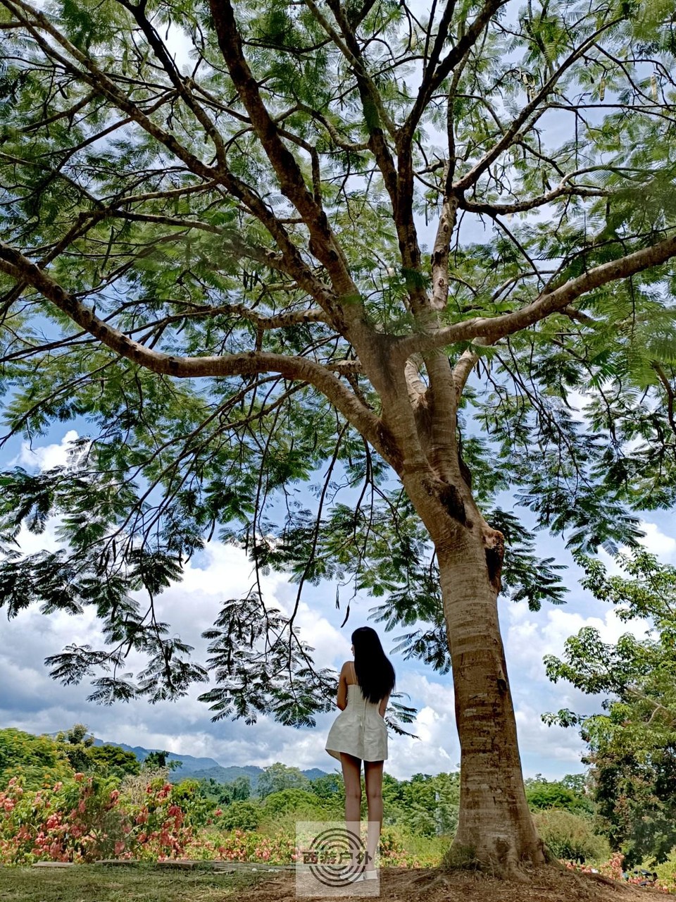 IMG_20220804_124606_edit_586258377262789