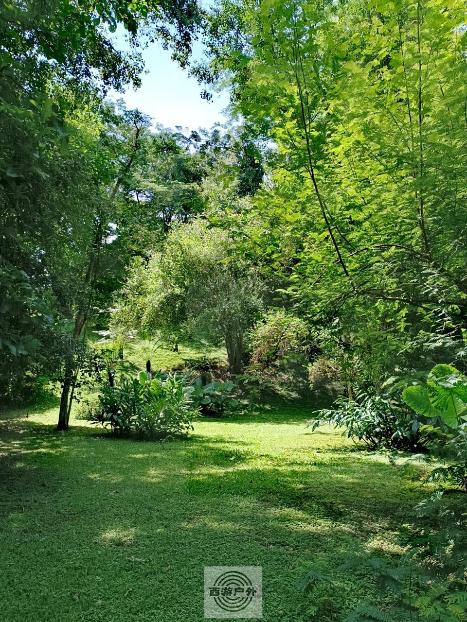 IMG_20220804_113358_edit_586297170415714