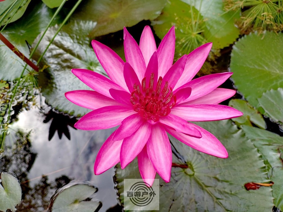 IMG_20220804_104343_edit_586317386921638