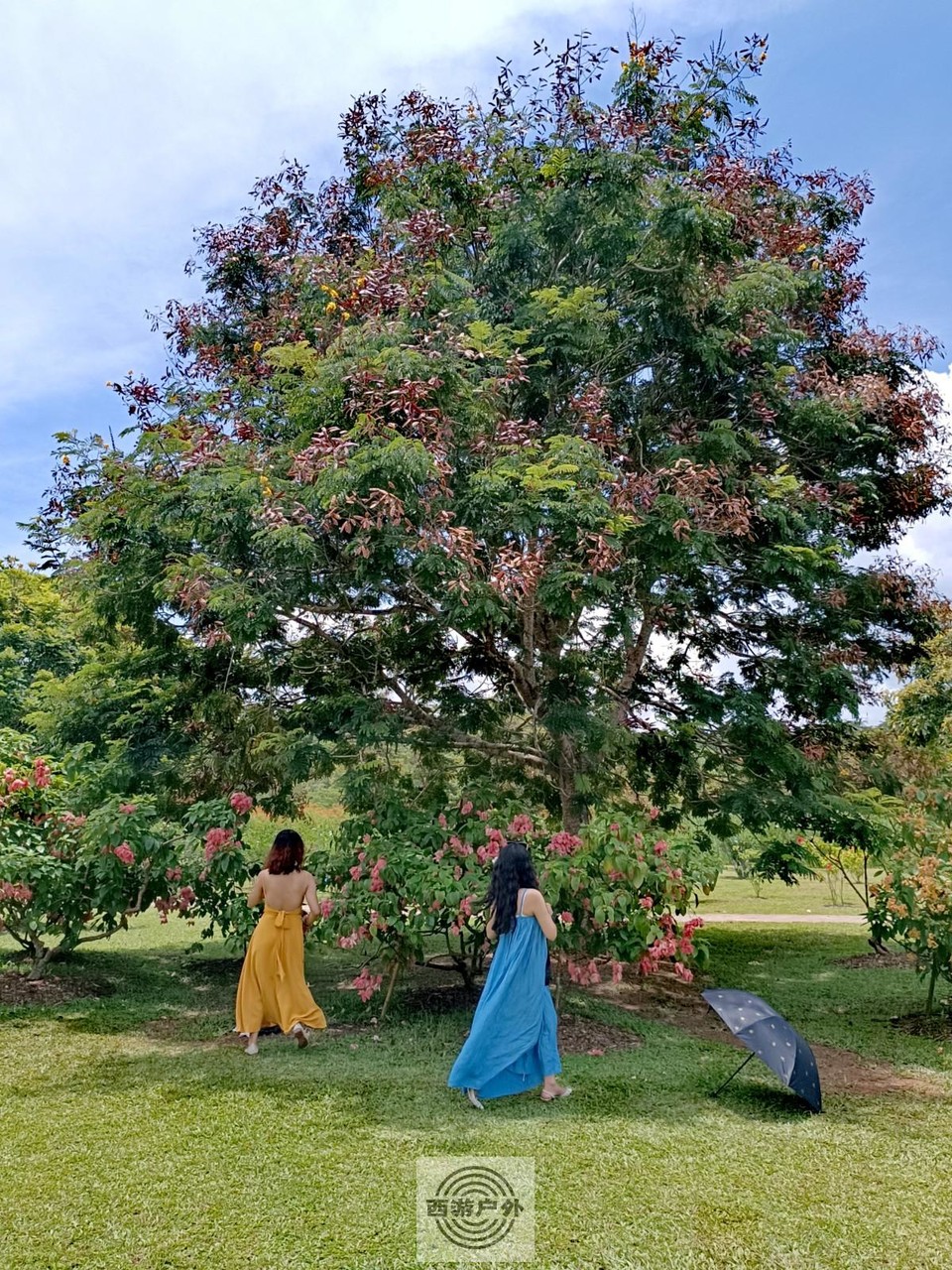 IMG_20220804_125352_edit_586415624492414