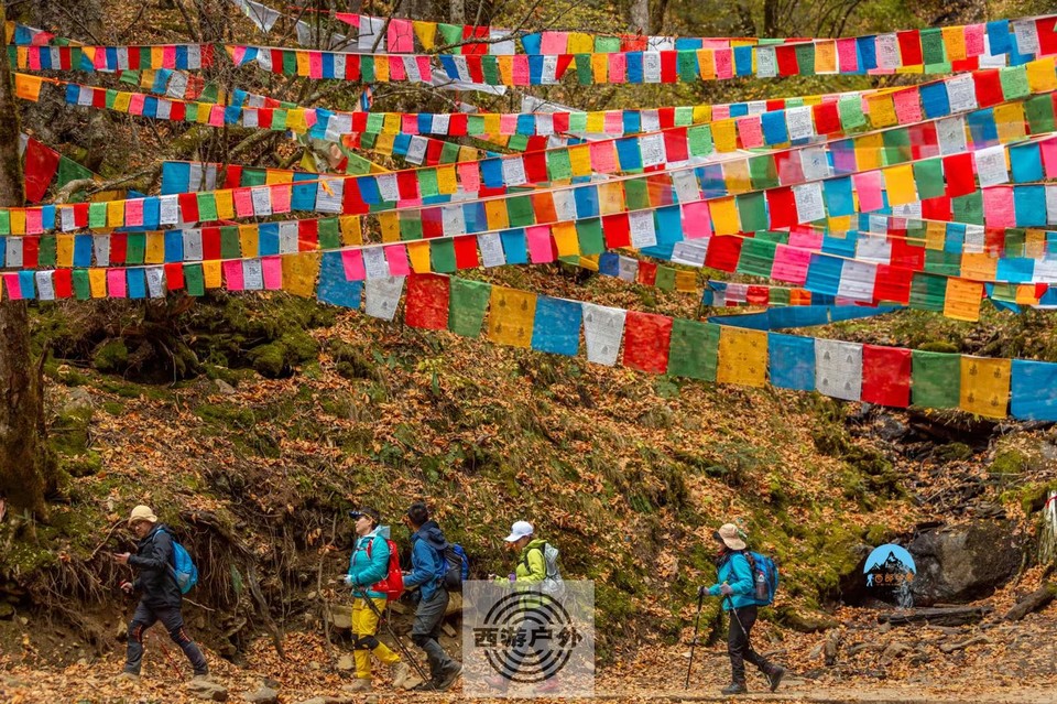 4bc2865f14c38e8408997b2df87b888