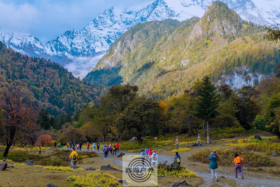 5eda95ee43b497616b7cbe165b139b6