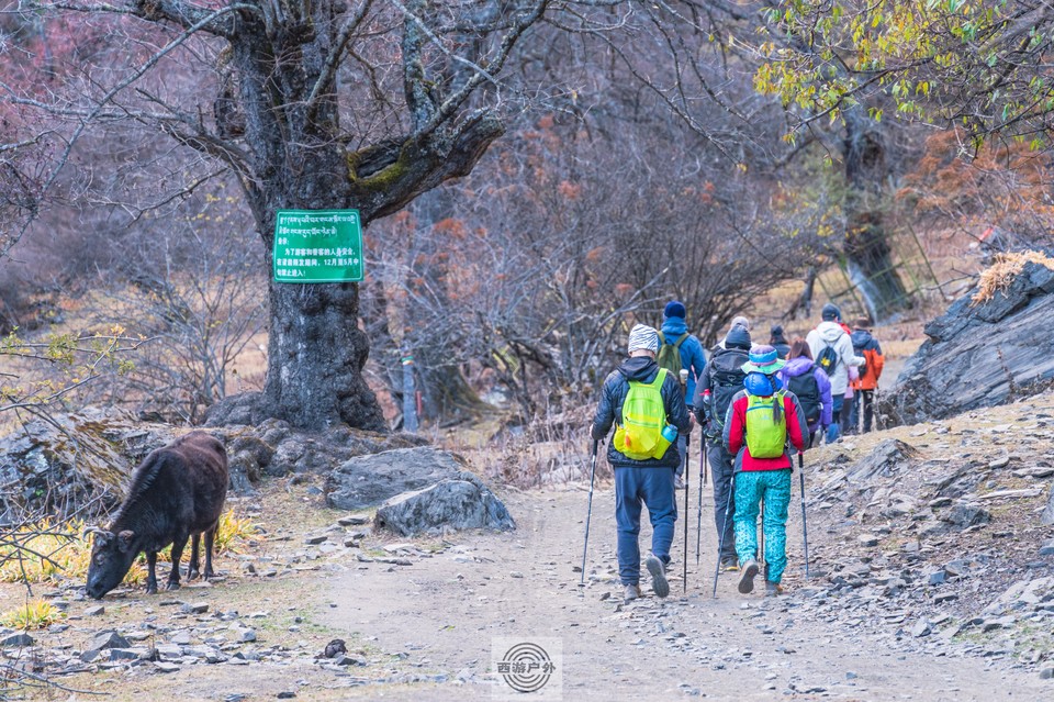 4d4bbb6237b2659d04e3ec528532930