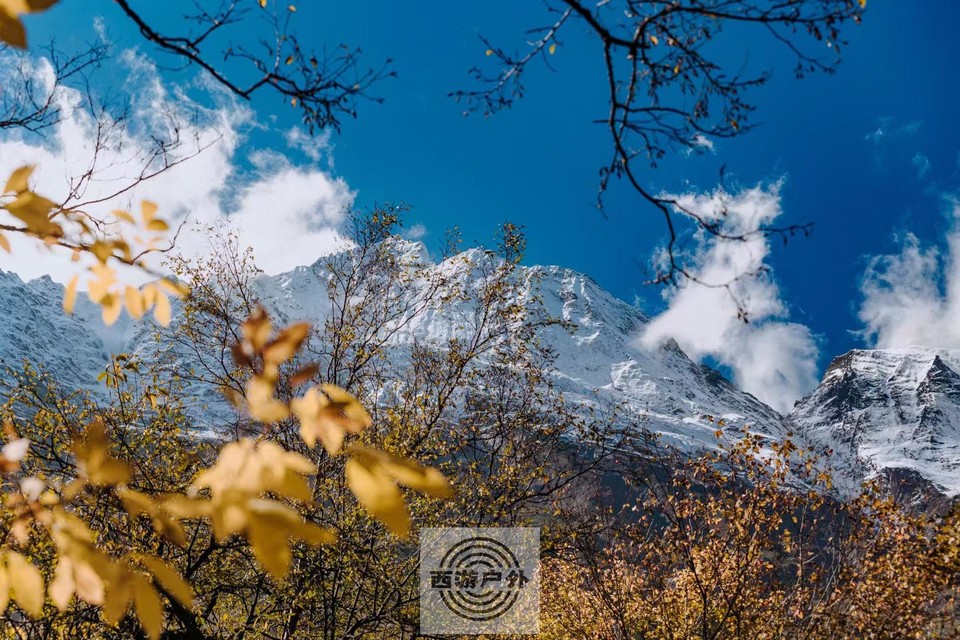 8a9a4fcb1b2978d525d6c519deee758