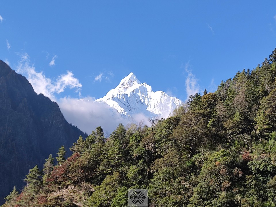 7af34ab96bbd463e1f51d6f2d3ebe13