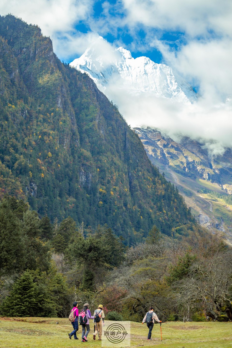 8df6a5c9abb2cd396762c8e7c4bdba4