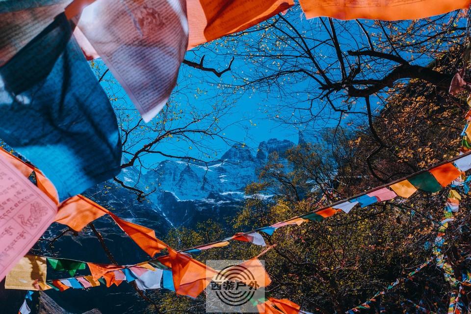 245adf54e6472dfac2018166181ff89