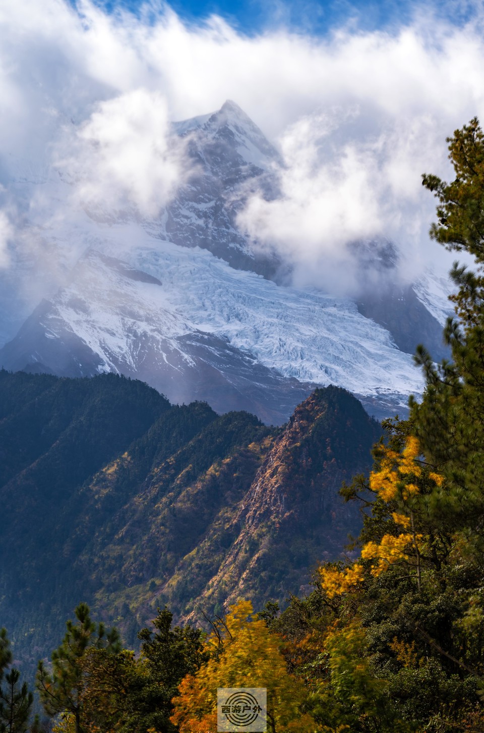 17cf34caa6878fcbe8849200bb71422