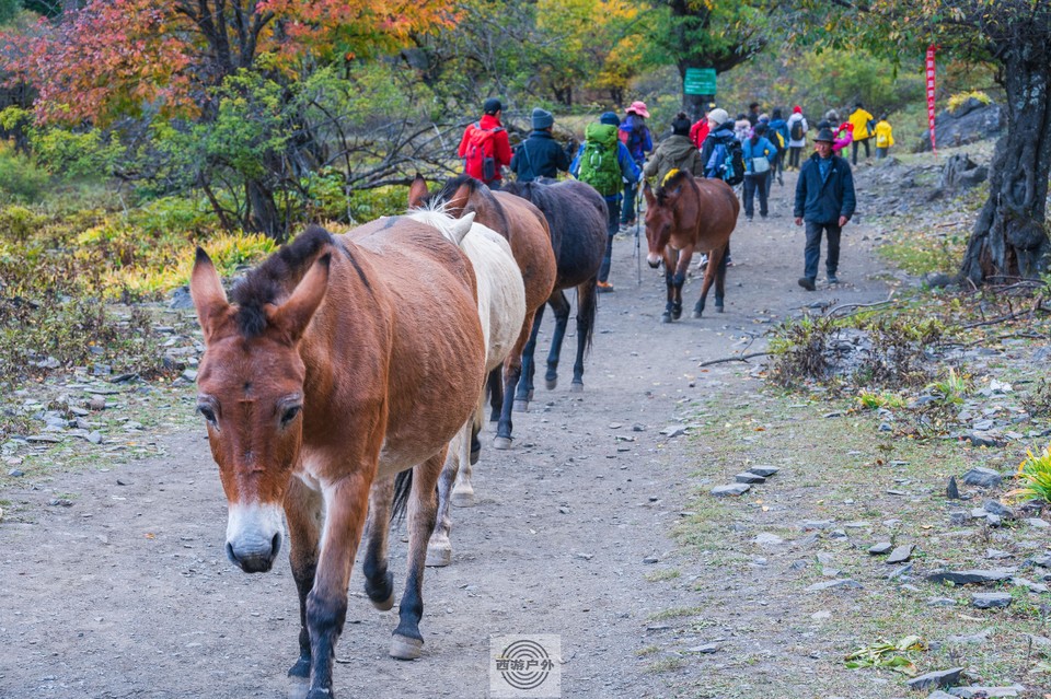 aa6f4030d888d0e48f99b9c8bbff237