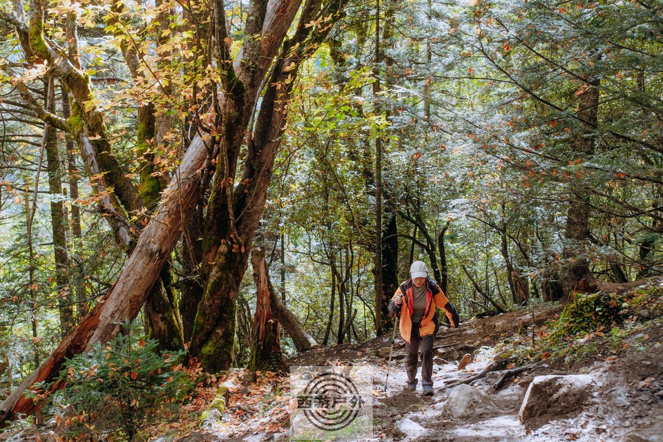 b825db0a42a5ec2140c79e68f88fc37