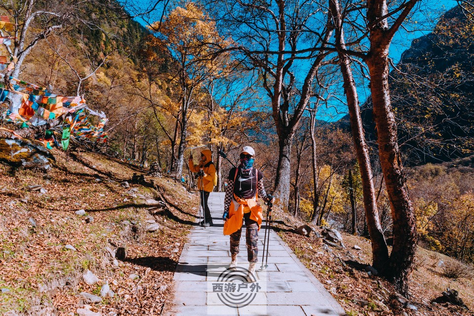 b59537ba9e6d4344411cd82a747ad97