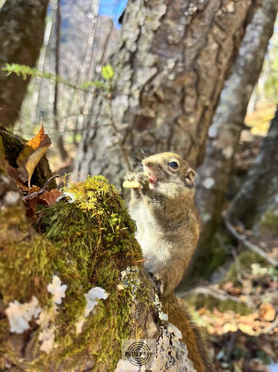 d3d53d4944a9272449c8a3919af8e15