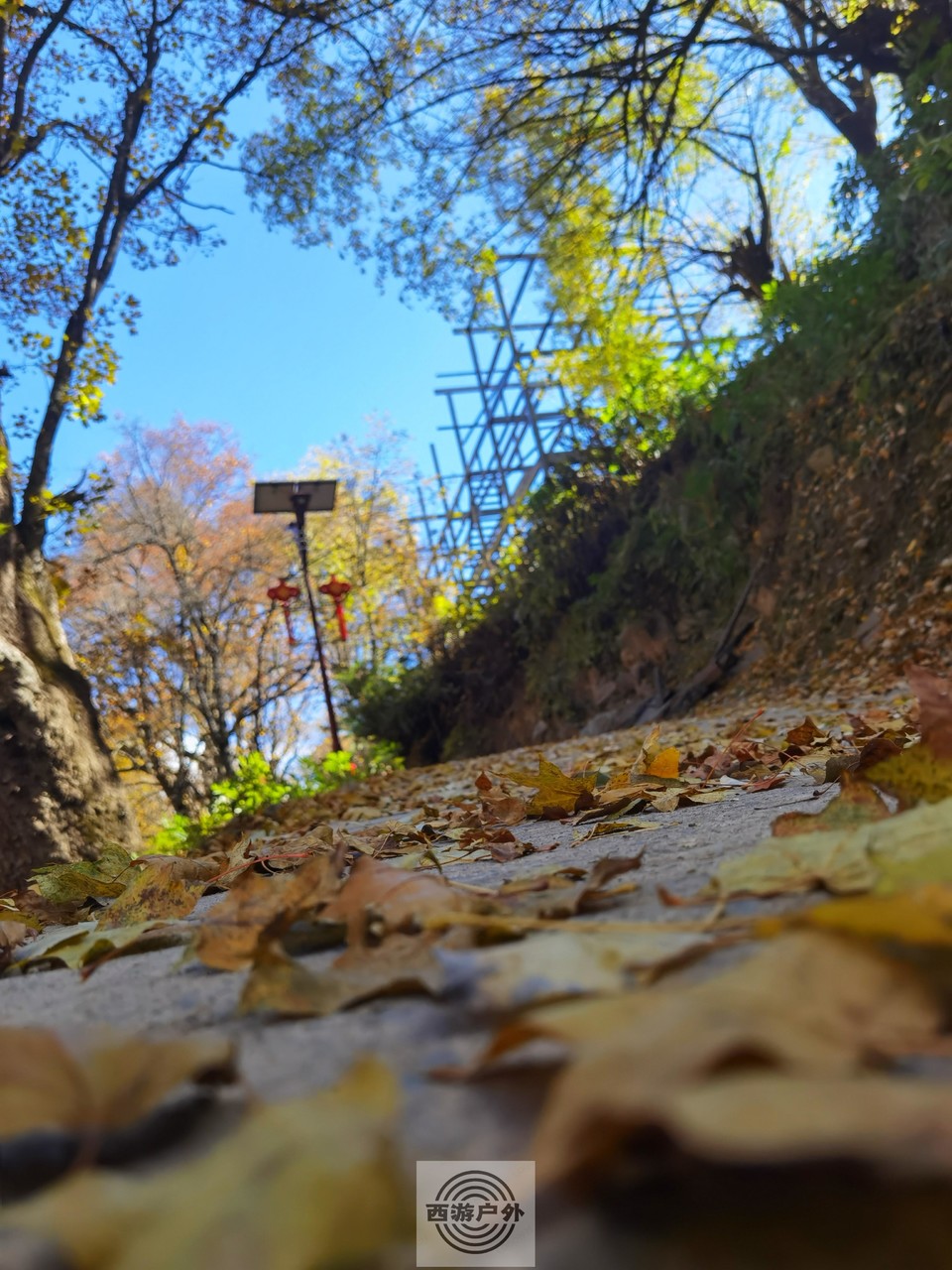 d4cb46aad34c0ee3c28b38177088452