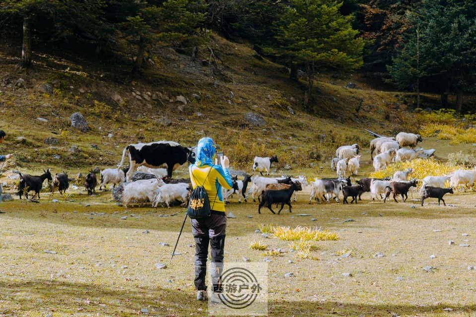 e552aacdfb84fe73cdb75899c89f62c