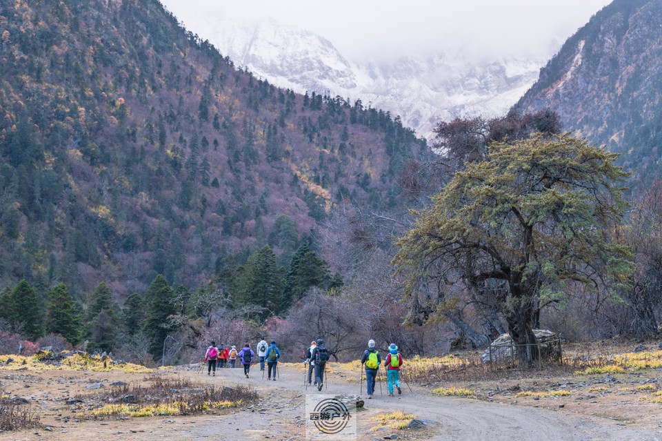 eb35d1fcdf88181d005c5f55288d88b