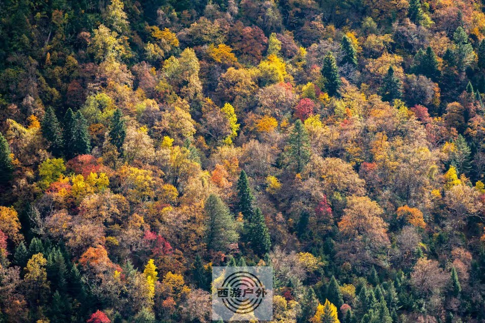 f9dd200668c9c4c6343db80cde542ee