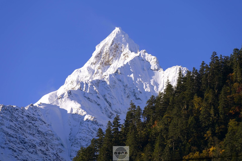 5b971cf4f4950bcd5d88878d50b8f32