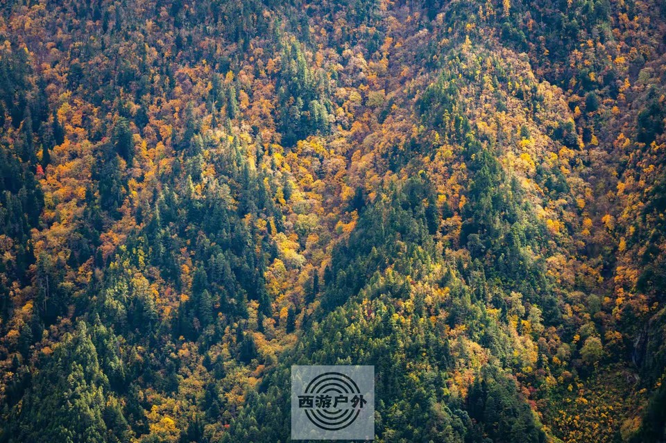 25300642c52e5b4208b794ccec3cbba