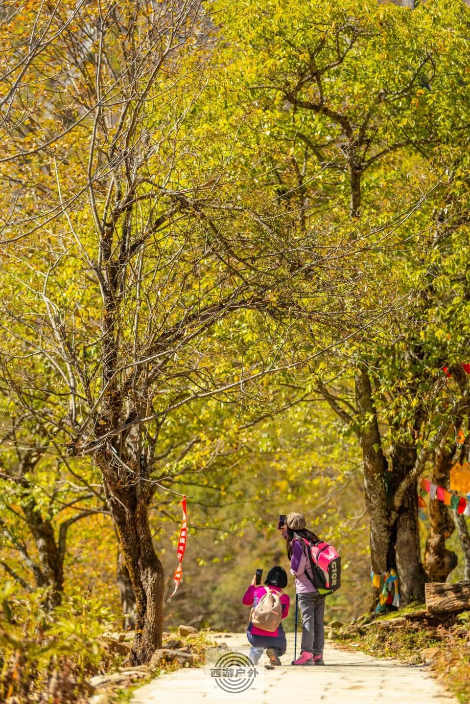 aab128b5b715921b2d8461e8e9e2232