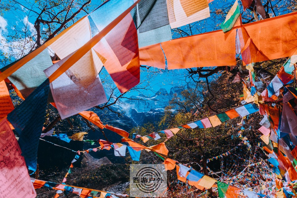 f6bb9117e2da1f74009b4b6b5bc3d4d