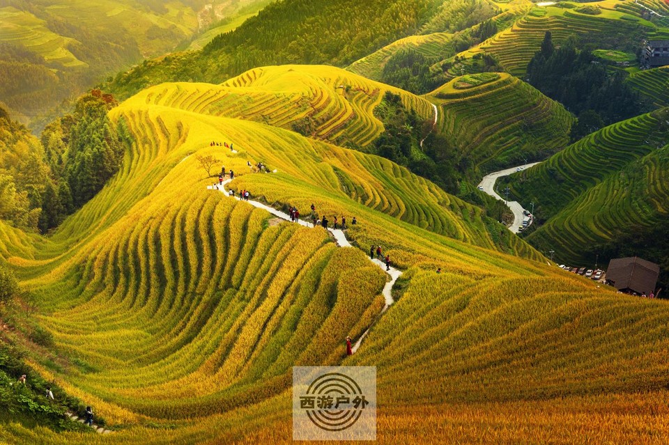 $HBQF}W)XTO_O%`DEDL%OT4