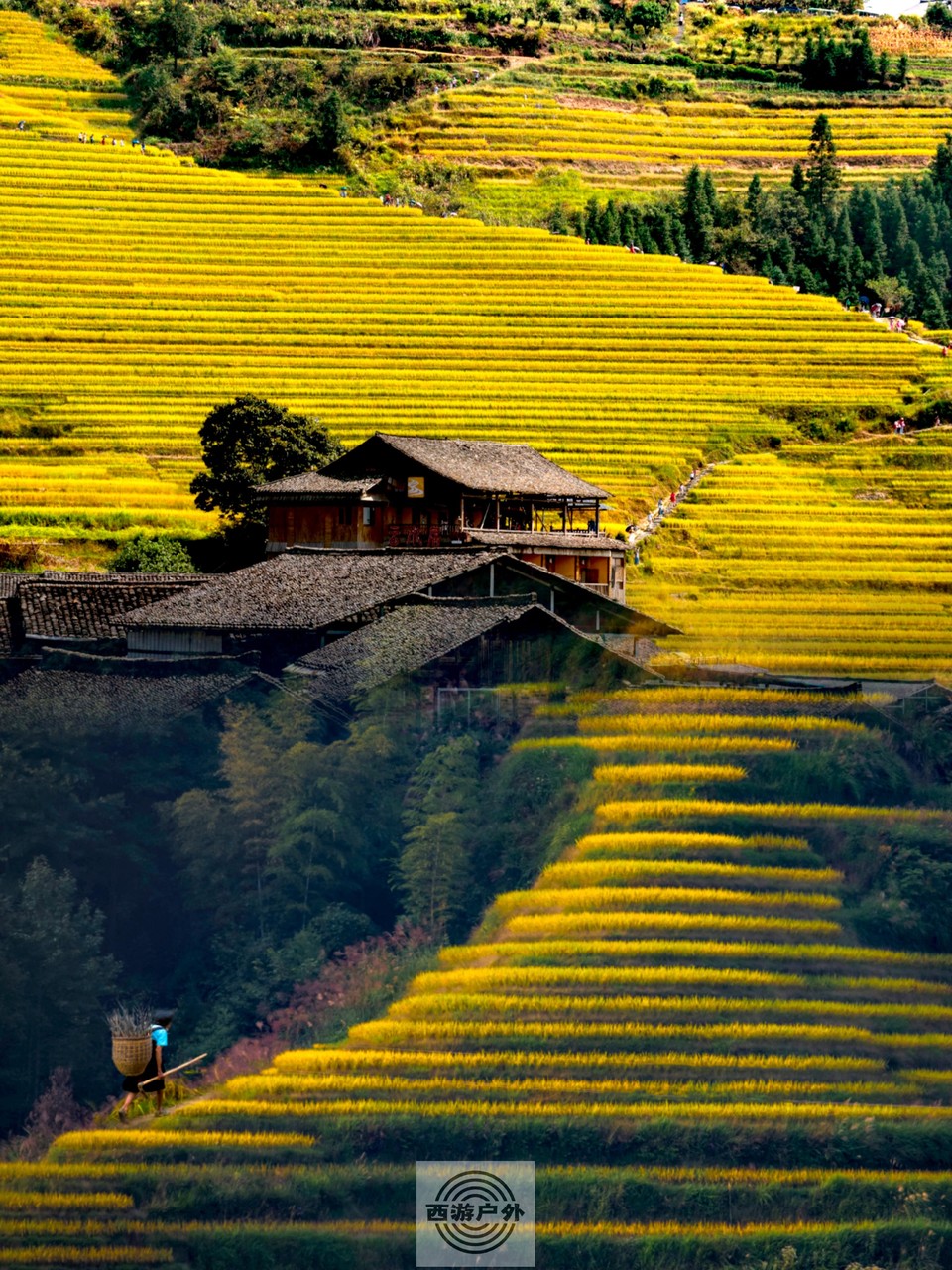 pt2022_09_17_04_03_21_edit_1253664257953415