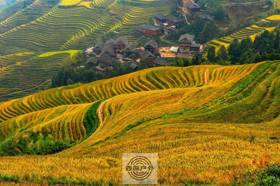 )8OG8IMPS60HMY~KDTQ2XQF