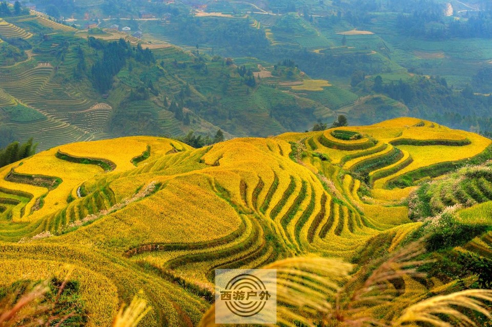 }BU)NE5L`XL~B45XEO[5JL7